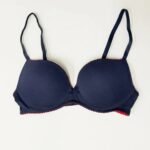 Wired And Push Up Bra - Blue